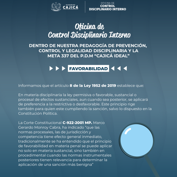 Control Disciplinario Interno2_Mesa de trabajo 1 copia 7