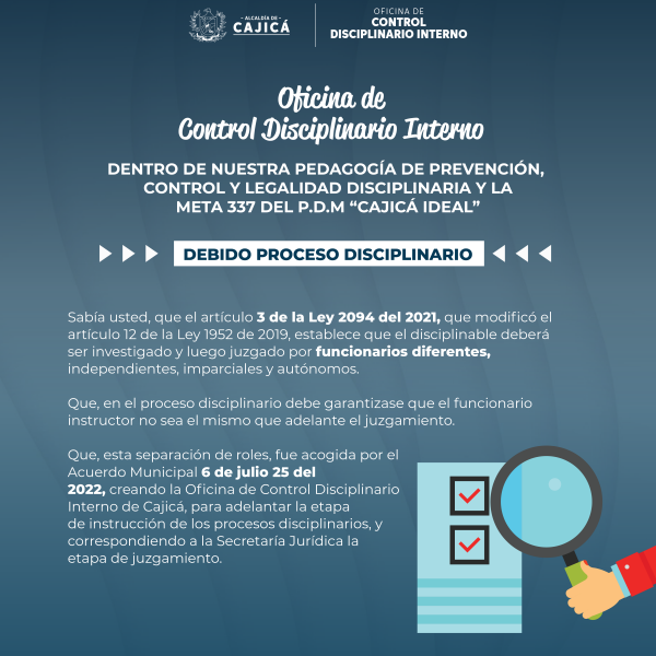 Control Disciplinario Interno2_Mesa de trabajo 1 copia 8