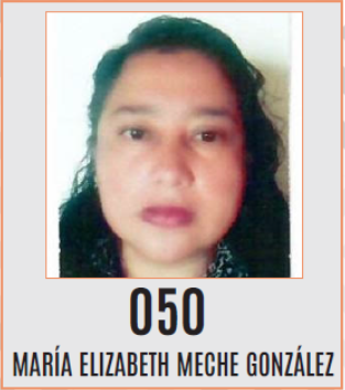 Captura de Pantalla 2023-12-06 a la(s) 11.55.08 a. m.