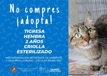 adopta1