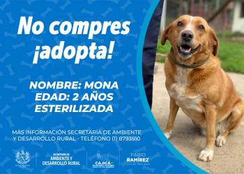 192790985_4087452471320768_7239972943022880874_n