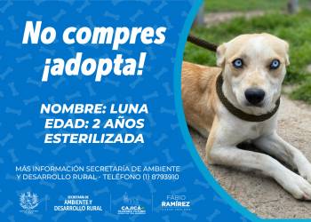 193600956_4087452484654100_2123085579921974400_n