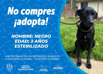 196801690_4087452777987404_4960514623146279254_n