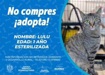 197313191_4087452717987410_5092168582297827359_n