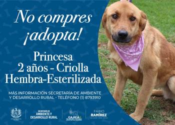 Princesa - Canino