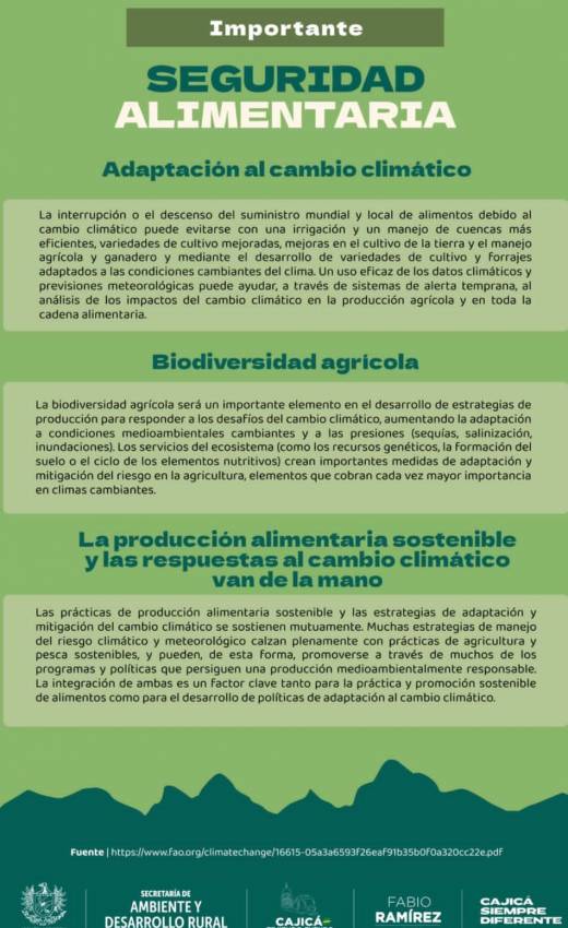 Infografia Parte 4