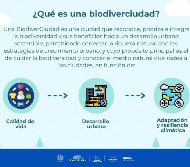 biodiverciudades 2