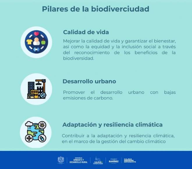 biodiverciudades 3