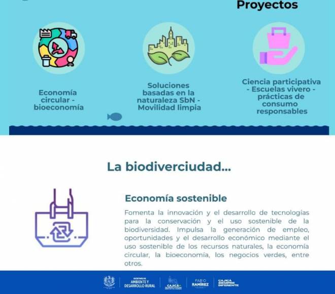 biodiverciudades 5