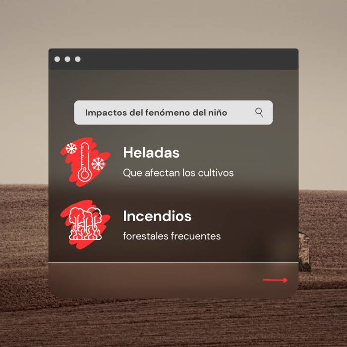 Pieza gráfica final Fenómeno del Niño con logos_page-0006