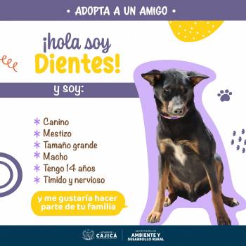 437154146_834955092011449_2333000285433275856_n