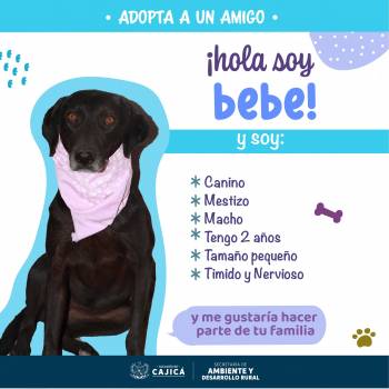 437892631_834955242011434_7335246545347590893_n