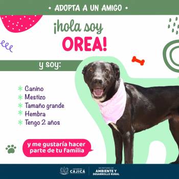 437953273_834955172011441_6693708564434606749_n