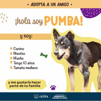 437967402_834955218678103_9190960104240613307_n