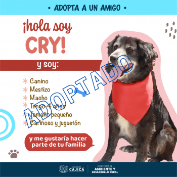 CRY