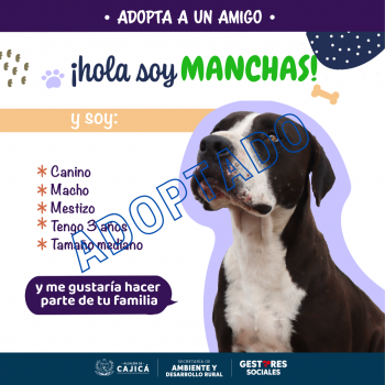 MANCHAS