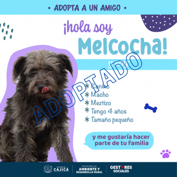 MELCOCHA