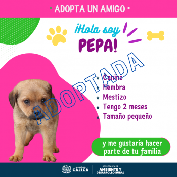 PEPA