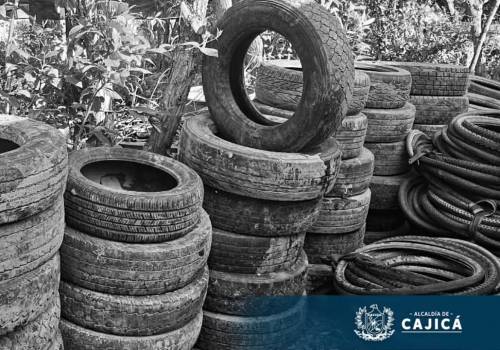 FB_IMG_1749574929019